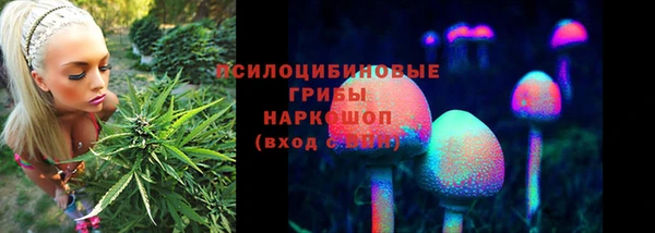 гашик Алексин