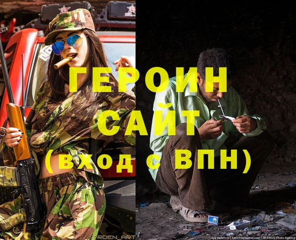 гашик Алексин