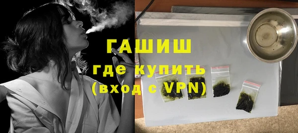 гашик Алексин