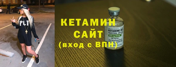гашик Алексин