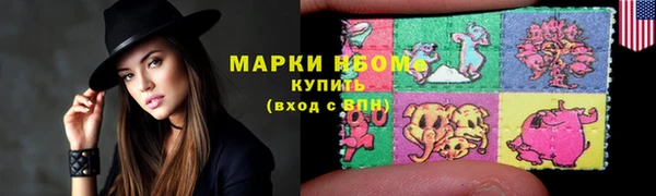 гашик Алексин