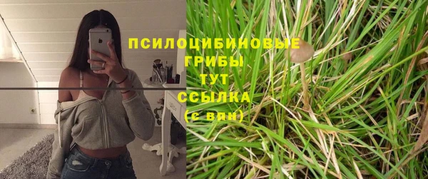 эйфоретик Алзамай