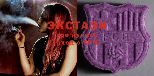 гашик Алексин